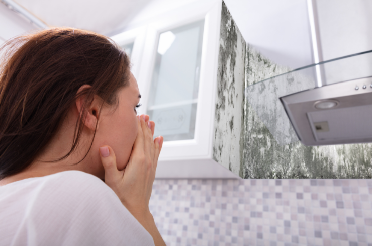 4. Persistent Mold or Mildew Growth Is It Time to Replace Your Old Tiles?