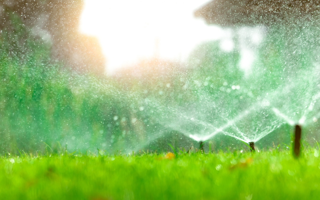 Don’t Drown Your Garden! How to Avoid Overwatering with Sprinklers