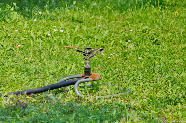 Don’t Drown Your Garden! How to Avoid Overwatering with Sprinklers