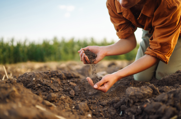 Don’t Drown Your Garden! How to Avoid Overwatering with Sprinklers